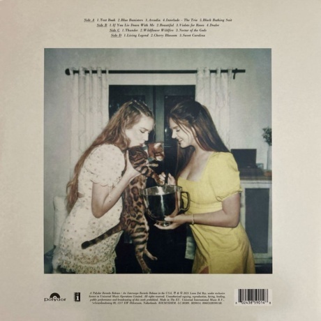 Lana Del Rey - Blue Banisters (0602438590148) виниловая пластинка - фото 3