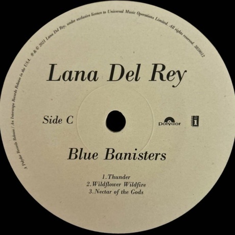 Lana Del Rey - Blue Banisters (0602438590148) виниловая пластинка - фото 6