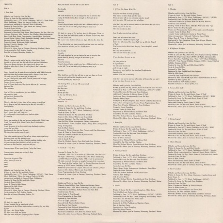 Lana Del Rey - Blue Banisters (0602438590148) виниловая пластинка - фото 9