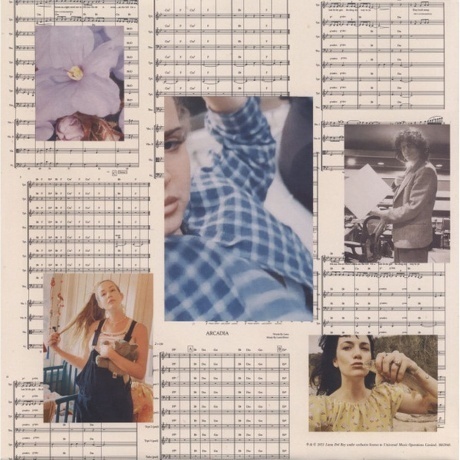 Lana Del Rey - Blue Banisters (0602438590148) виниловая пластинка - фото 10