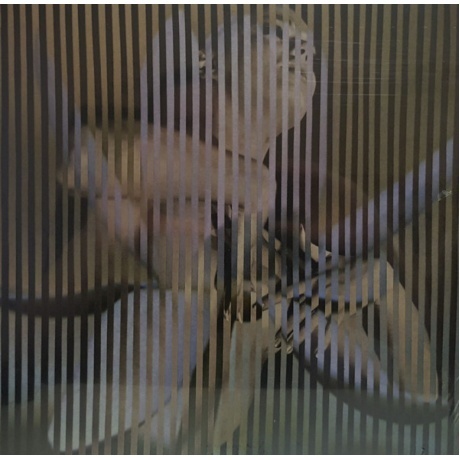 Franz Ferdinand - Always Ascending (0887828040810) виниловая пластинка - фото 2