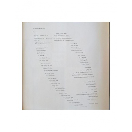 Franz Ferdinand - Always Ascending (0887828040810) виниловая пластинка - фото 11