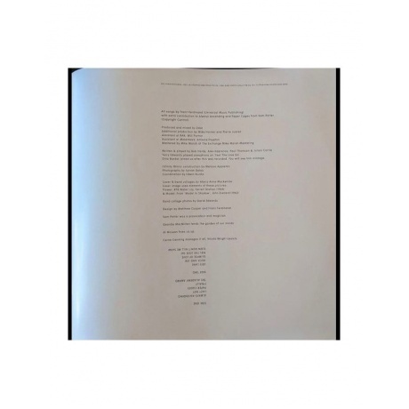 Franz Ferdinand - Always Ascending (0887828040810) виниловая пластинка - фото 12