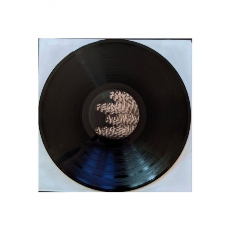 Franz Ferdinand - Always Ascending (0887828040810) виниловая пластинка - фото 3