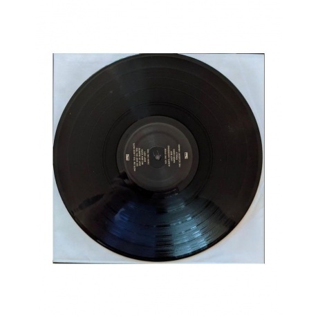 Franz Ferdinand - Always Ascending (0887828040810) виниловая пластинка - фото 4