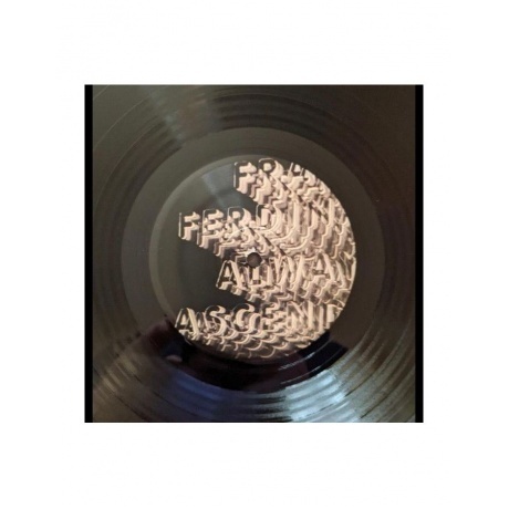 Franz Ferdinand - Always Ascending (0887828040810) виниловая пластинка - фото 5