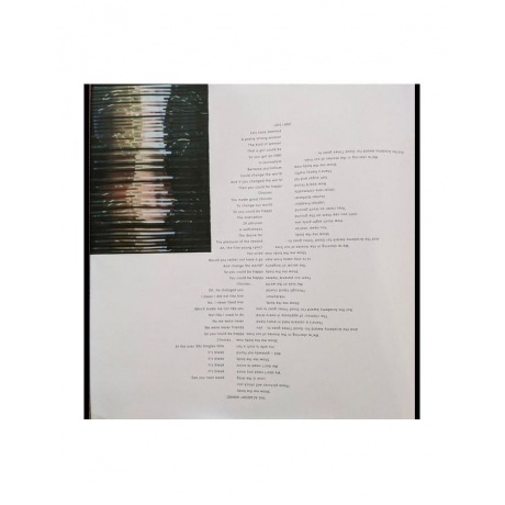 Franz Ferdinand - Always Ascending (0887828040810) виниловая пластинка - фото 7