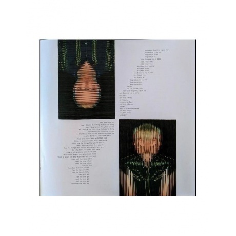 Franz Ferdinand - Always Ascending (0887828040810) виниловая пластинка - фото 10