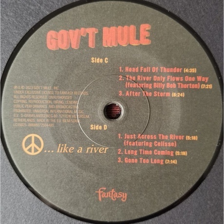 Gov't Mule - Peace...Like A River (0888072447585) виниловая пластинка - фото 9