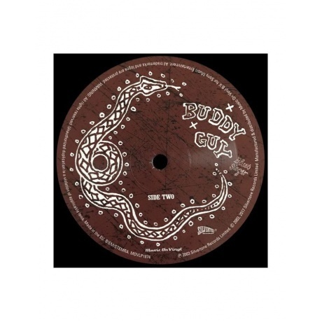 Buddy Guy - Blues Singer (8719262003750) виниловая пластинка - фото 5