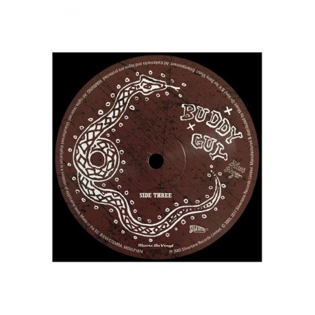 Buddy Guy - Blues Singer (8719262003750) виниловая пластинка - фото 6