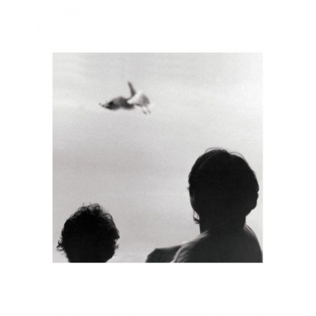 Federico Albanese - Before And Now Seems Infinite 0602435844725 виниловая пластинка 2534₽