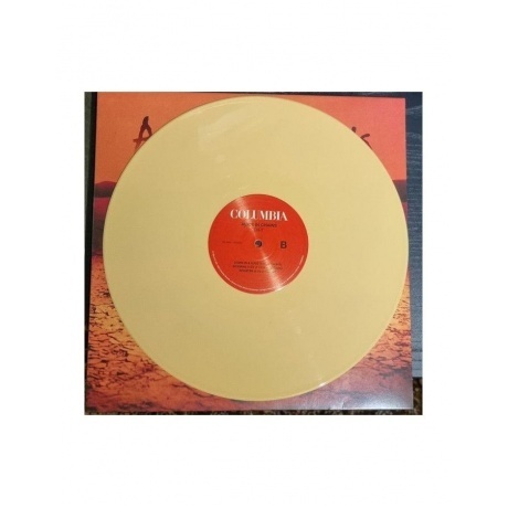 0194399867716, Alice In Chains, Dirt (coloured) виниловая пластинка - фото 4