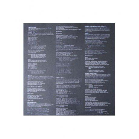 8719262024885, Виниловая пластинка Annihilator, Alice In Hell (coloured) - фото 6