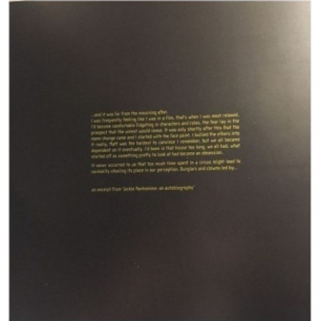 Arctic Monkeys - Favourite Worst Nightmare (Lp Gatefold) (5034202018810) виниловая пластинка - фото 7