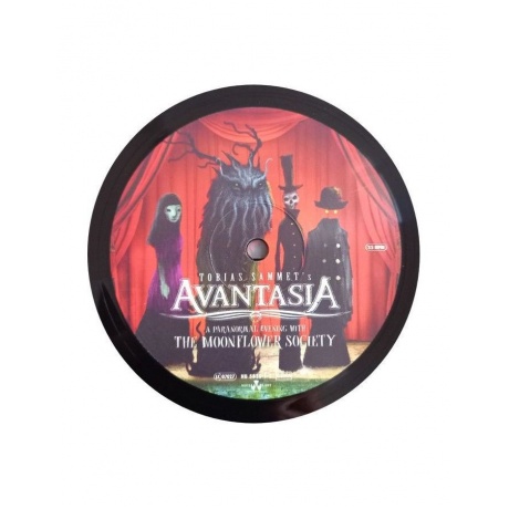 0727361583019, Виниловая пластинка Avantasia, A Paranormal Evening With The Moonflower Society - фото 8