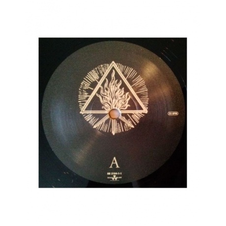 0727361310417, Виниловая пластинка Behemoth, The Satanist - фото 15