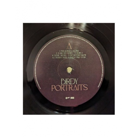 Birdy - Portraits (5054197465055) виниловая пластинка - фото 3