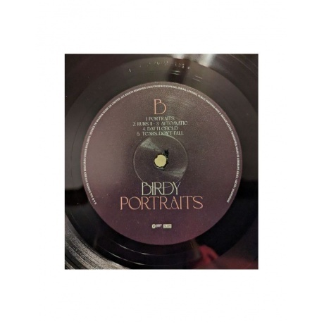 Birdy - Portraits (5054197465055) виниловая пластинка - фото 4
