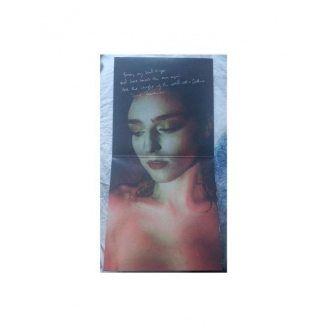 Birdy - Portraits (5054197465055) виниловая пластинка - фото 5