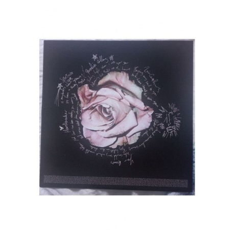 Birdy - Portraits (5054197465055) виниловая пластинка - фото 6