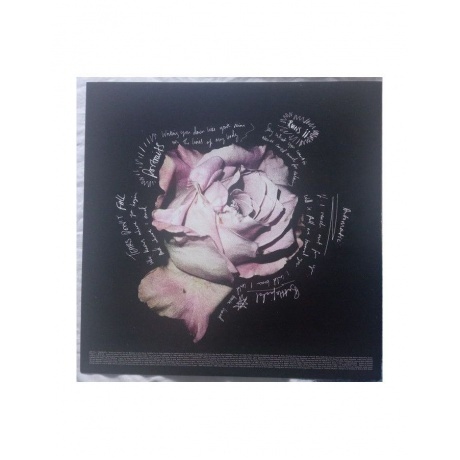 Birdy - Portraits (5054197465055) виниловая пластинка - фото 7