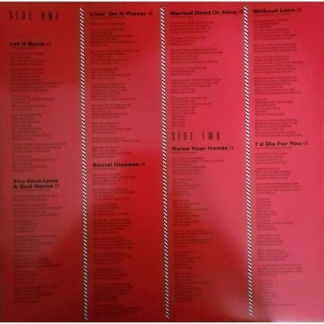 Bon Jovi - Slippery When Wet (0602547029218) виниловая пластинка - фото 3