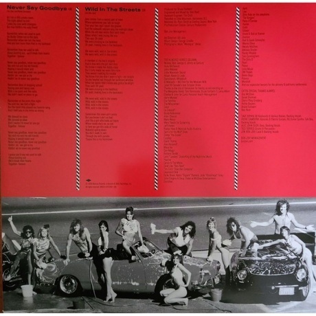 Bon Jovi - Slippery When Wet (0602547029218) виниловая пластинка - фото 4