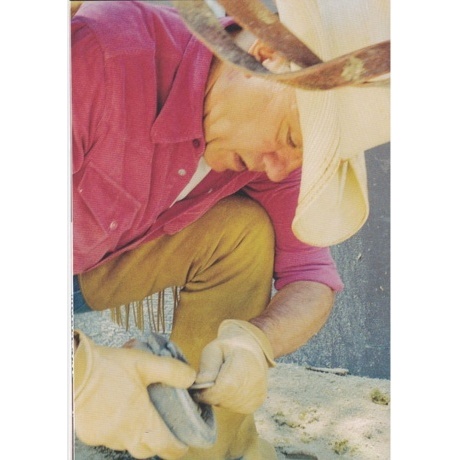 Elton John - The Captain &amp; The Kid (0602445055326) виниловая пластинка - фото 19