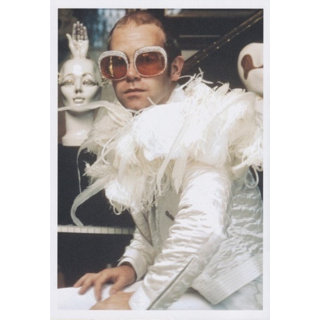 Elton John - The Captain &amp; The Kid (0602445055326) виниловая пластинка - фото 8