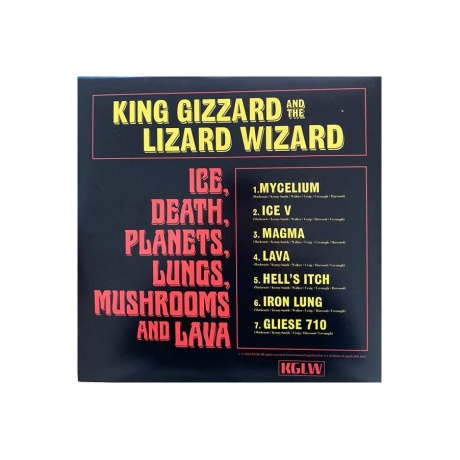 0842812170164, Виниловая пластинка King Gizzard &amp; The Lizard Wizard, Ice, Death, Planets, Lungs, Mushroom And Lava - фото 4