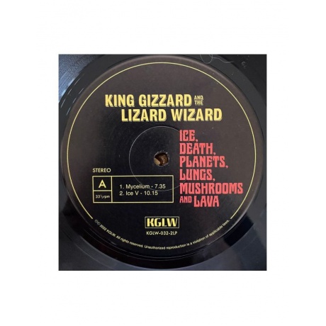 0842812170164, Виниловая пластинка King Gizzard &amp; The Lizard Wizard, Ice, Death, Planets, Lungs, Mushroom And Lava - фото 5