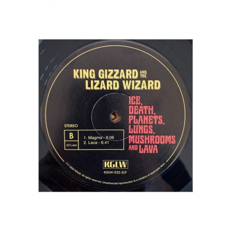 0842812170164, Виниловая пластинка King Gizzard &amp; The Lizard Wizard, Ice, Death, Planets, Lungs, Mushroom And Lava - фото 6