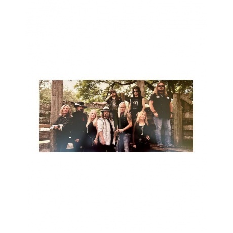 Lynyrd Skynyrd - Collected (8719262007901) виниловая пластинка - фото 4