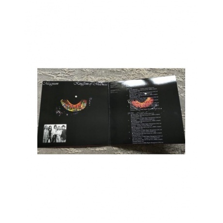 Magnum - Kingdom Of Madness (0630428088412) виниловая пластинка - фото 4