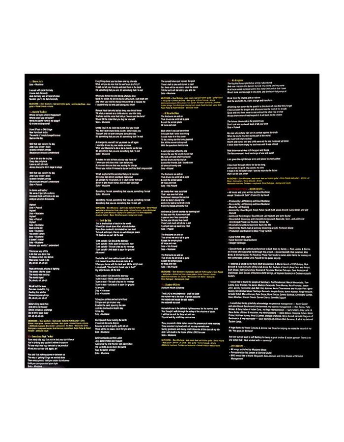 4050538374049, Виниловая пластинка Megadeth, The System Has Failed - фото 6