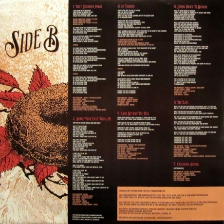 Van Morrison - Keep Me Singing (0602557108736) виниловая пластинка - фото 6