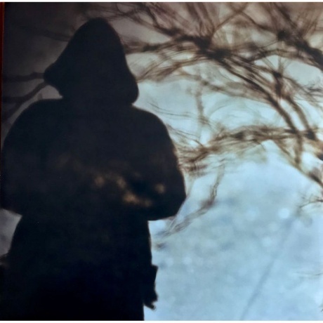 J. Cole - Born Sinner (0602455406620) виниловая пластинка - фото 8