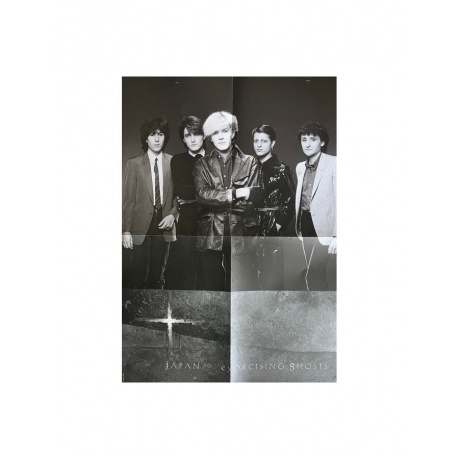 Japan - Exorcising Ghosts (Half Speed) (0602438621354) виниловая пластинка - фото 14