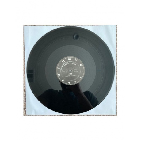 Puddle Of Mudd - Life On Display (0600753974056) виниловая пластинка - фото 11