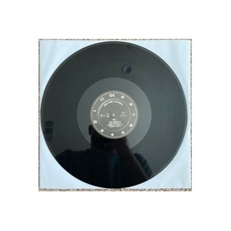 Puddle Of Mudd - Life On Display (0600753974056) виниловая пластинка - фото 8