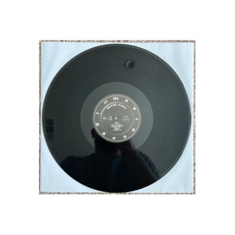 Puddle Of Mudd - Life On Display (0600753974056) виниловая пластинка - фото 9