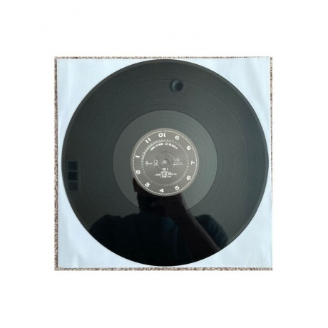 Puddle Of Mudd - Life On Display (0600753974056) виниловая пластинка - фото 10