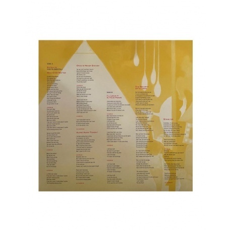 Saga - The Security Of Illusion (4029759155386) виниловая пластинка - фото 11