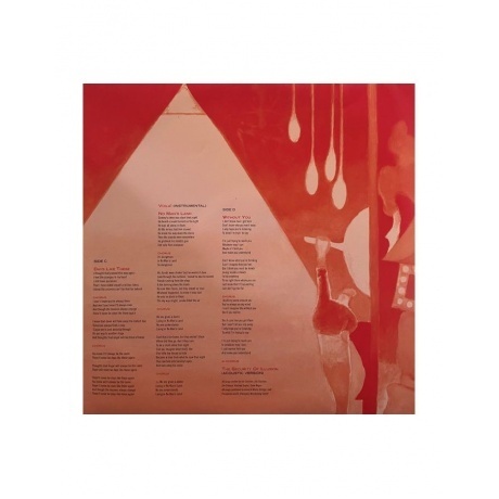 Saga - The Security Of Illusion (4029759155386) виниловая пластинка - фото 13