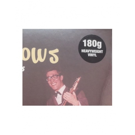 The Shadows - 20 Golden Hits (5711053021670) виниловая пластинка - фото 2