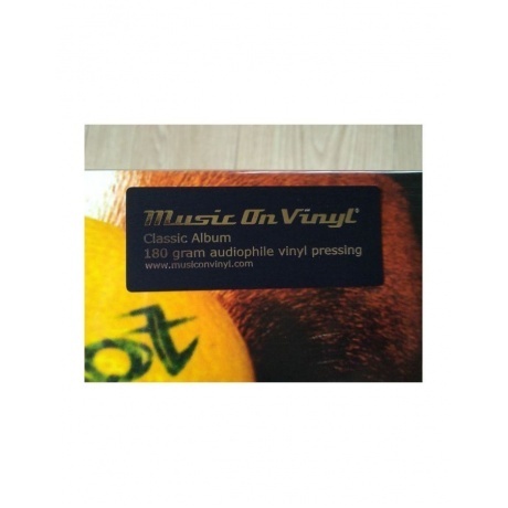 0600753795965, Snot, Get Some виниловая пластинка - фото 9