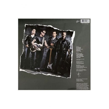 8718469530366, Social Distortion, Social Distortion виниловая пластинка - фото 3