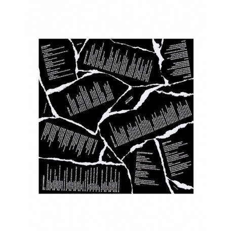 8718469530366, Social Distortion, Social Distortion виниловая пластинка - фото 7