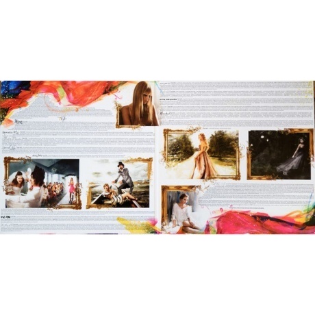 Taylor Swift - Speak Now (0843930004003) виниловая пластинка - фото 2